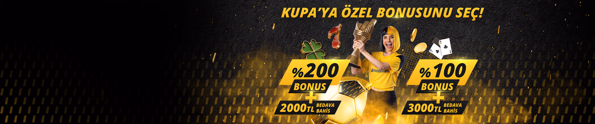 Promotional banner
